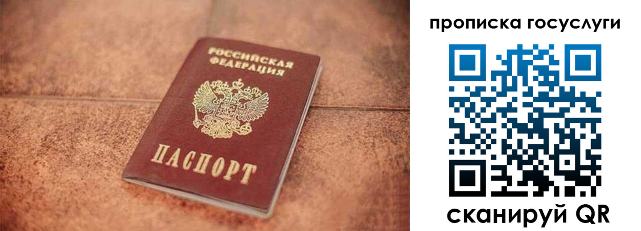 прописка законно в Ростове